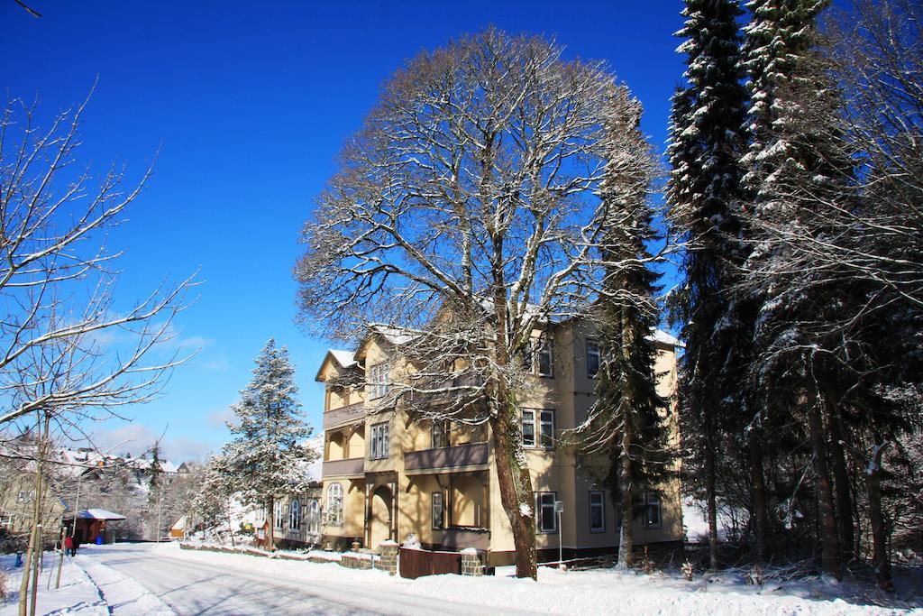 Pension Villa Kassandra Altenau  Zewnętrze zdjęcie