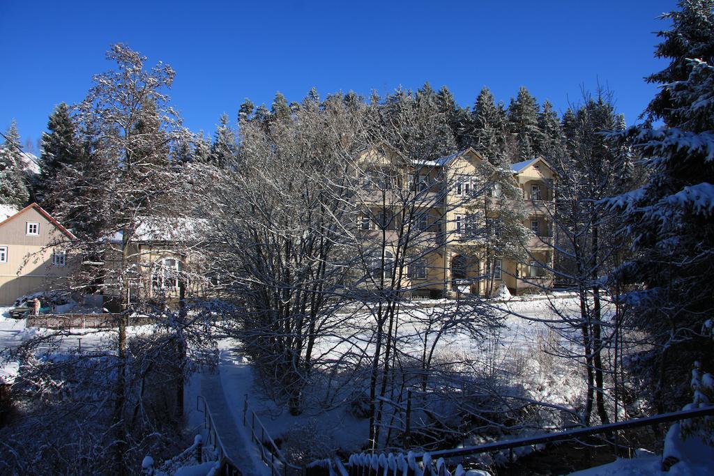 Pension Villa Kassandra Altenau  Zewnętrze zdjęcie